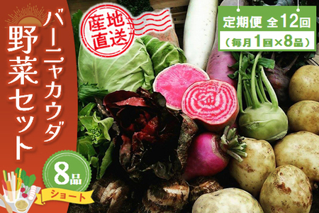 年間定期便12回 バーニャカウダ野菜セットショート 8品 (H078141)