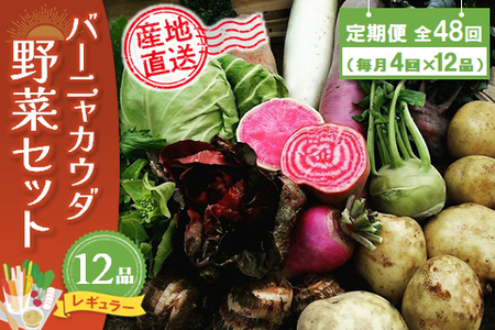 年間定期便48回 バーニャカウダ野菜セットレギュラー 12品 (H078120)