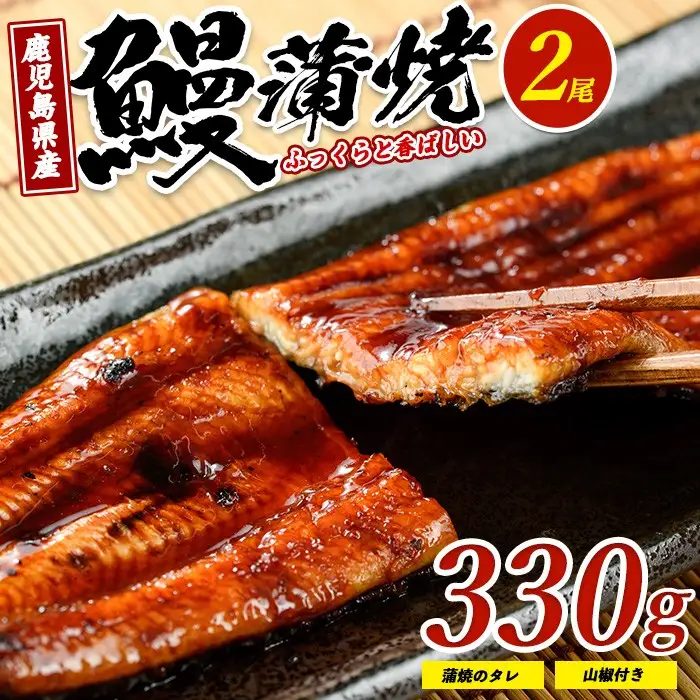 【鹿児島県産】鰻 の 蒲焼 無頭背開き 約165g×2尾 山中水産 IB022-001 うなぎ