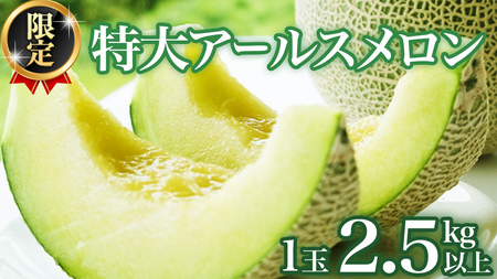 【2026年8月下旬発送開始】 季節 限定 ！ 甘さ満点 特大 アールスメロン 1個 [BC005sa]
