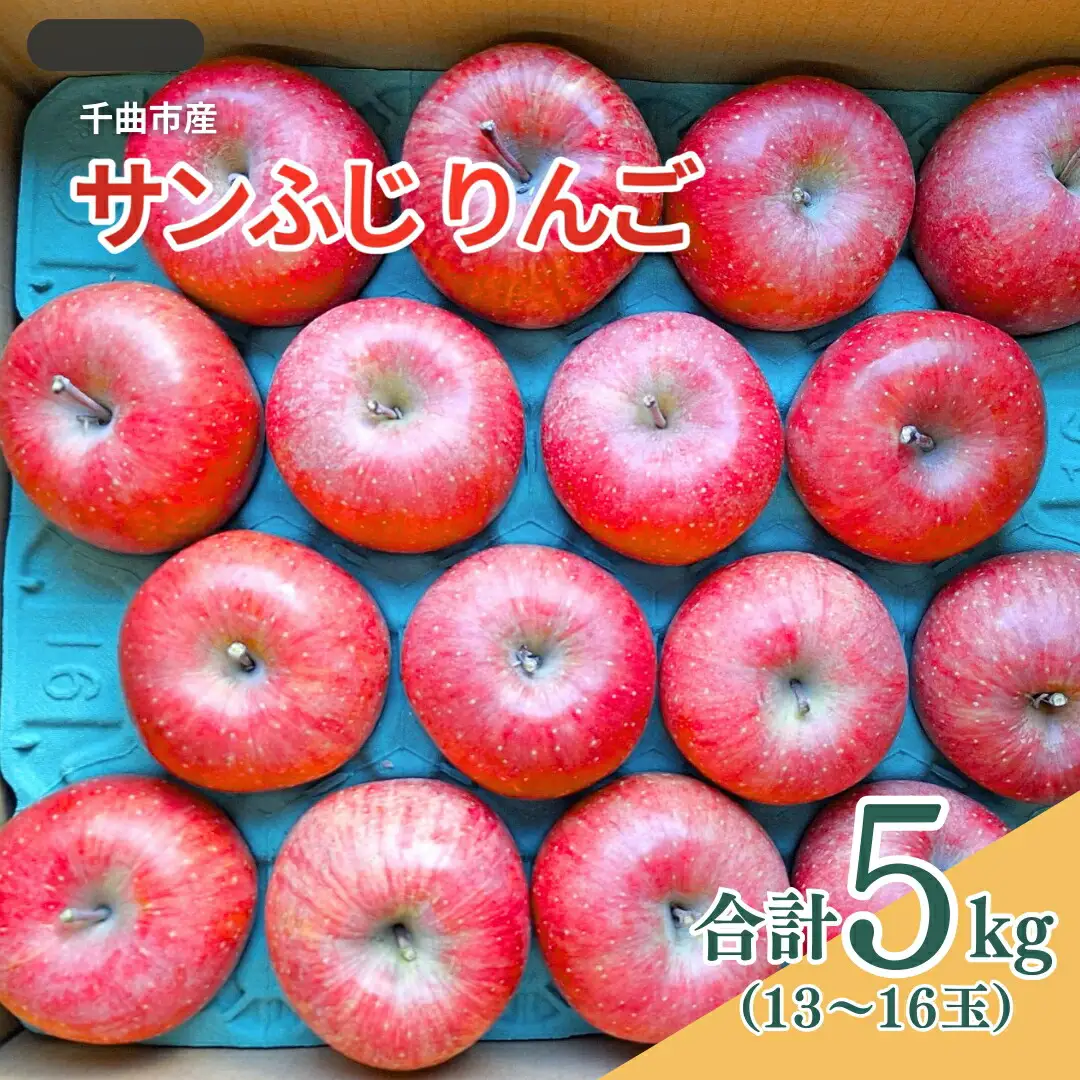 【2026年先行予約】千曲市産 サンふじ りんご 約5kg （13~16玉）|りんご