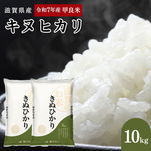 【先行予約】令和7年産甲良米「キヌヒカリ」白米 10kg　お米 こめ コメ おこめ 白米 キヌヒカリ 
