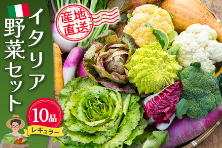 イタリア野菜セットレギュラー 10品 (H078148)