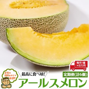 【定期便】 アールスメロン 毎月1個 × 6か月 （計6個）