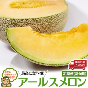 【定期便】 アールスメロン 毎月2個 × 3か月 （計6個）
