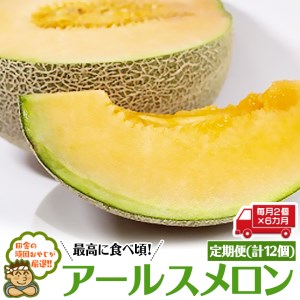 【定期便】 アールスメロン 毎月2個 × 6か月 （計12個）