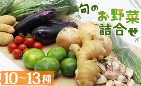 高知県香南市産 旬のお野菜詰合せ(10～13品目)  - やさい 10～13種類 セット 詰め合わせ 季節の野菜 新鮮 料理 サラダ アレンジ おたのしみ お楽しみ おまかせ お任せ フレッシュ 国産 プライム株式会社 高知県 香南市 pr-0007