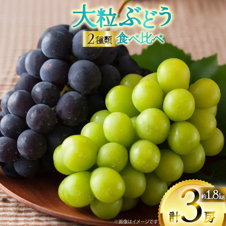 【期間限定発送】 ピオーネ シャインマスカット 2種 食べ比べ セット 約1.8kg [四釜昌和 山形県 高畠町 tk06ayt020006]