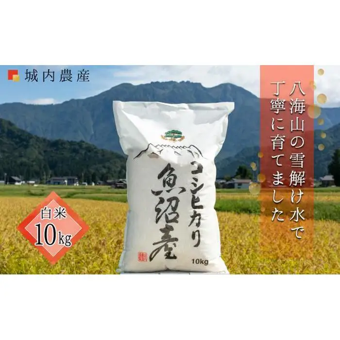 【令和７年産】【令和７年産】南魚沼産コシヒカリ 白米１０ｋｇ 【５割減農薬栽培米】城内農産【銘柄米 ブランド米 精米 こしひかり コシヒカリ 魚沼産 新潟米 産地直送 お米 米 こめ コメ ご飯 御飯 ごはん】