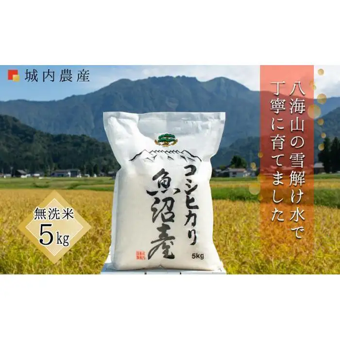 南魚沼産コシヒカリ 無洗米５ｋｇ 【５割減農薬栽培米】城内農産　令和７年【銘柄米 ブランド米 無洗米 こしひかり コシヒカリ 魚沼産 新潟米 産地直送 お米 米 こめ コメ ご飯 御飯 ごはん】