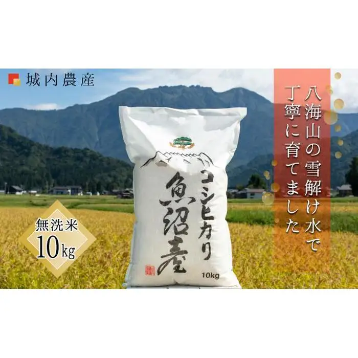 【令和７年産】【令和７年産】南魚沼産コシヒカリ 無洗米１０ｋｇ 【５割減農薬栽培米】城内農産【銘柄米 ブランド米 無洗米 こしひかり コシヒカリ 魚沼産 新潟米 産地直送 お米 米 こめ コメ ご飯 御飯 ごはん】