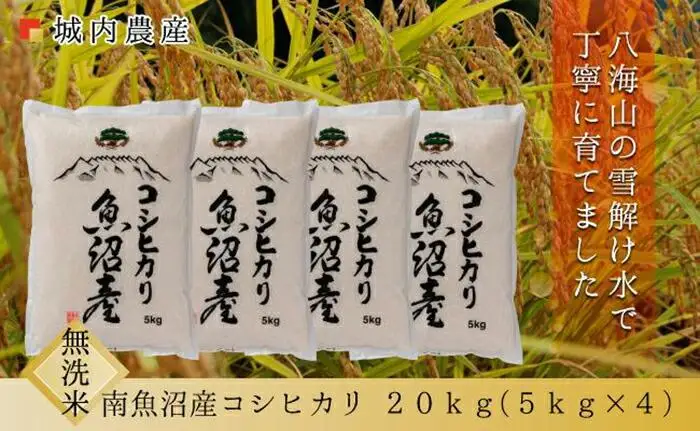 【令和７年産】【令和７年産】南魚沼産コシヒカリ 無洗米２０ｋｇ　【５割減農薬栽培米】城内農産【銘柄米 ブランド米 無洗米 こしひかり コシヒカリ 魚沼産 新潟米 産地直送 お米 米 こめ コメ ご飯 御飯 ごはん】