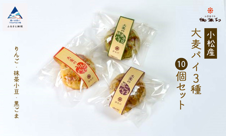 【石川県小松産】大麦パイ3種10個セット 洋菓子 パイ 洋菓子