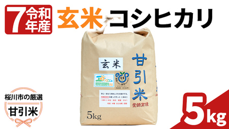 令和7年産 桜川市の 厳選 甘引米 コシヒカリ 玄米 5kg 特別栽培米 コシヒカリ こしひかり 玄米 米 こめ コメ 有機肥料 桜川市産 茨城県 いばらき [BA003sa]