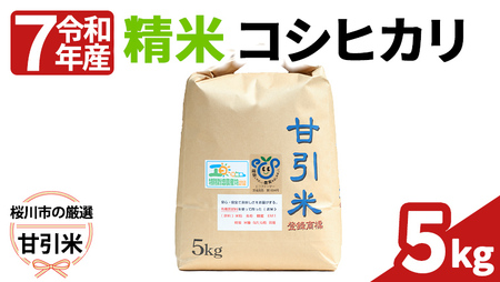 令和7年産 桜川市の 厳選甘引米 コシヒカリ 精米 5kg 桜川市産 コシヒカリ こしひかり 米 こめ コメ 茨城県 いばらき 有機肥料 [BA004sa]
