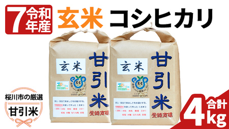 令和7年産 桜川市の 厳選甘引米 コシヒカリ 玄米 4kg 桜川市産 玄米 コシヒカリ こしひかり 米 こめ コメ 茨城県 いばらき 有機肥料 [BA005sa]