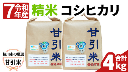 令和7年産 桜川市の 厳選甘引米 コシヒカリ 精米 4kg 桜川市産 コシヒカリ こしひかり 米 こめ コメ 茨城県 いばらき 有機肥料 [BA006sa]