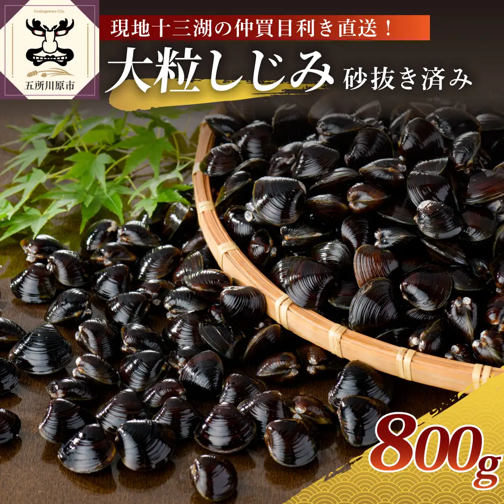 津軽十三湖産大和しじみ 大粒 800g （冷凍・砂抜き済） しじみ