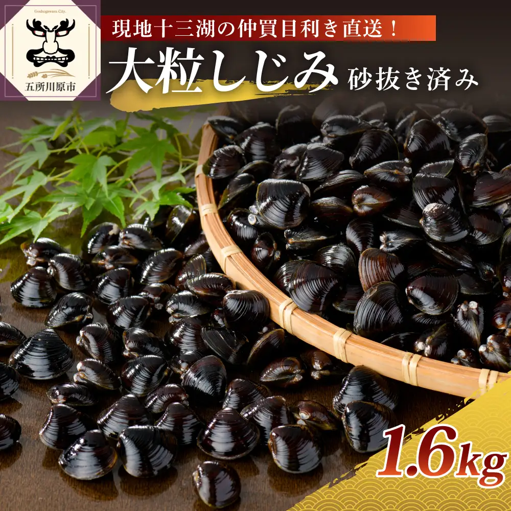 しじみ　津軽十三湖産大粒しじみ1.6kg（冷凍しじみ・砂抜き済）大和しじみ