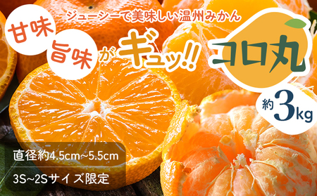 2026年秋よりお届け 瀬戸内　小みかん！コロ丸　約3kg 果物類 柑橘類 フルーツ 