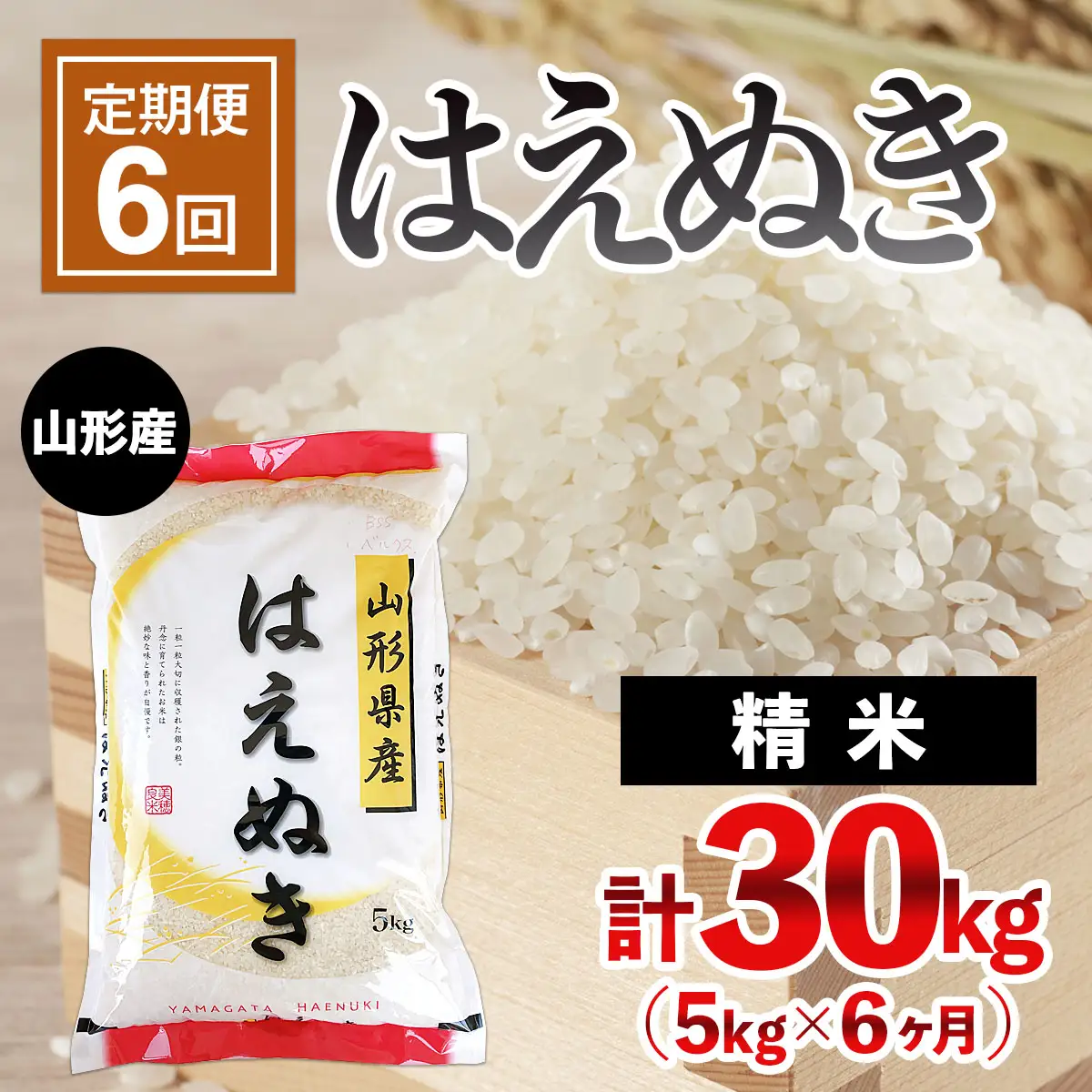 【定期便6回】山形産 はえぬき 5kg×6ヶ月(計30kg) FZ24-473