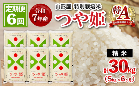 【定期便6回】令和7年産 山形産 特別栽培米 つや姫 5kg×6ヶ月(計30kg) 定期便 人気 米 ブランド米 精米したて 山形 FY25-487