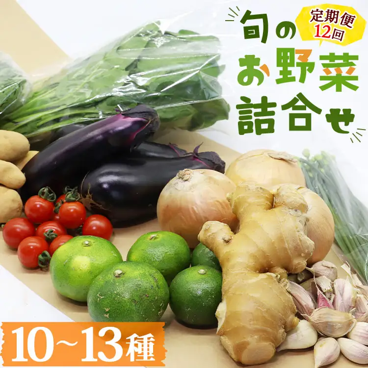 野菜 定期便【全12回】（10〜13種） 野菜 セット Wpr-0010