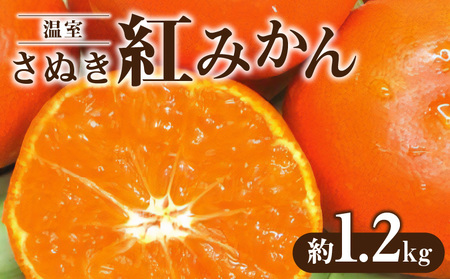 温室さぬき紅みかん約1.2kg