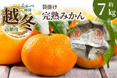 ふるーつ物語 越冬完熟 「袋掛けみかん」 約7kg(70個 ～ 120個)