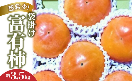 超希少！袋掛け富有がき 約3.5kg