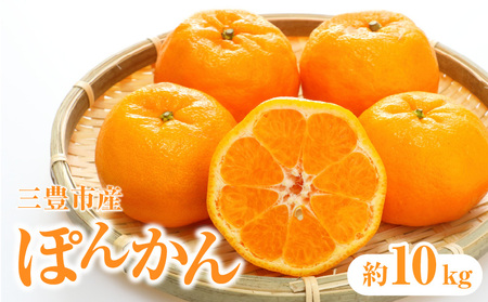 三豊市産ぽんかん 約10kg