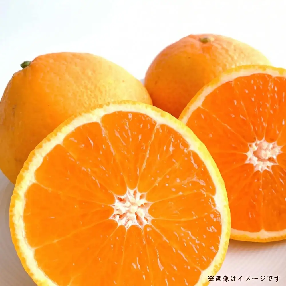 三豊(みとよ)みかん 約5kg