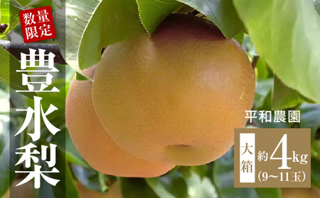 【9月お届け】数量限定!平和農園 豊水梨 大箱＜約4kg＞