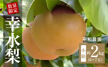 【8月お届け】数量限定!平和農園 幸水梨 小箱＜約2kg＞
