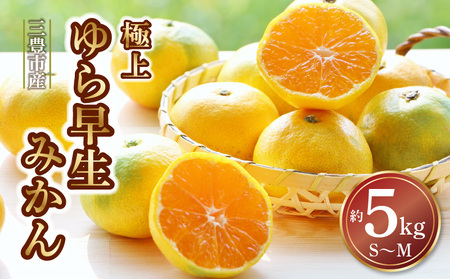 【10月中旬より発送】三豊市産 極上【ゆら早生みかん 約5kg】S～Mサイズ