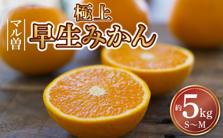 【11/15より発送】三豊市産 極上【マル曽 早生みかん約5kg】S～Mサイズ