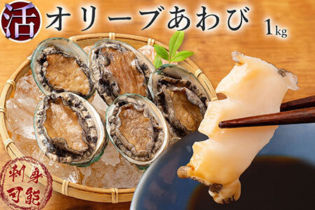 オリーブあわび 約1kg(10～12個程度) 殻付き【配送不可地域:北海道・東北・沖縄県・離島】
