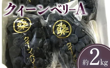 クイーンベリーA 約2kg