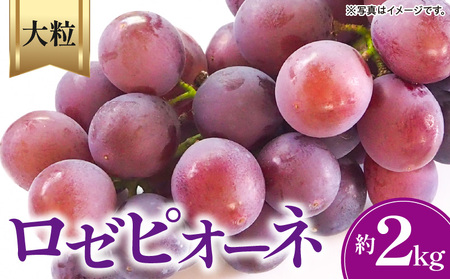 ロゼピオーネ 約2kg