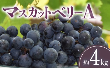 マスカットベリーA 約4kg
