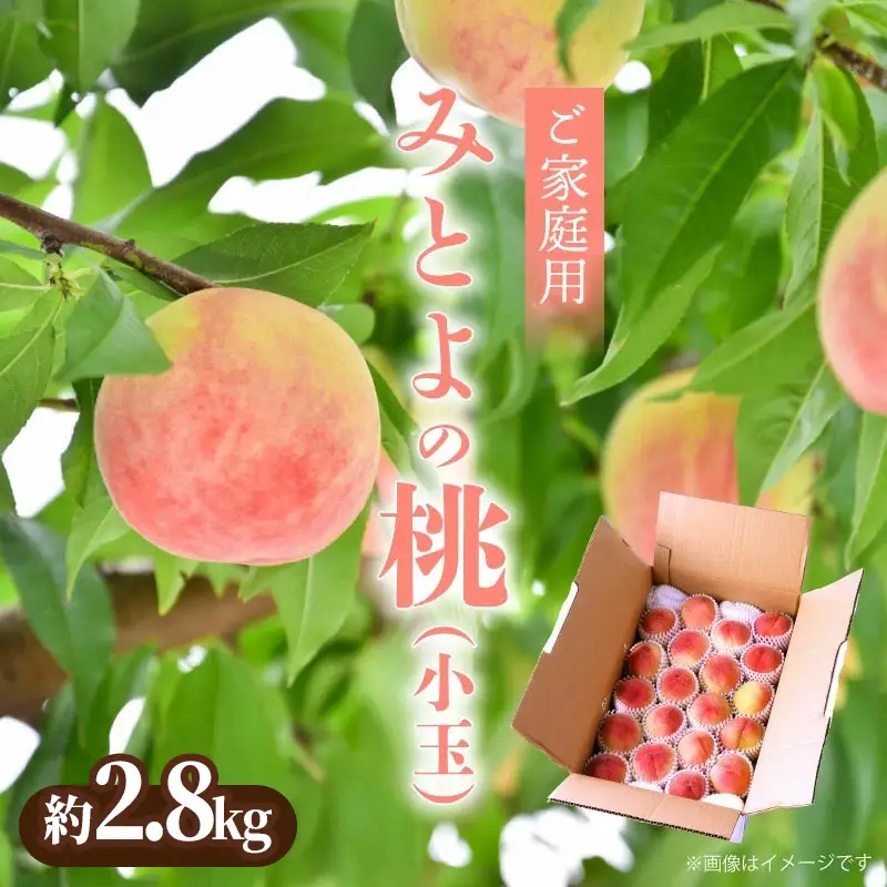 【期間限定】みとよの桃 (小玉) 約2.8kg