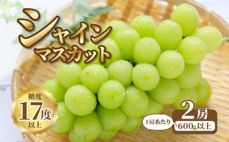【9月上旬より発送】シャインマスカット2房【600g以上】【糖度17度以上】