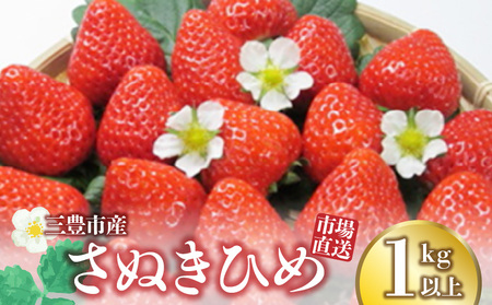 【1月中旬より発送】三豊市産【市場直送 さぬきひめ 1.0kg以上】