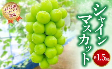 【8月20日から】【さぬき讃フルーツ】シャインマスカット 約1.5kg