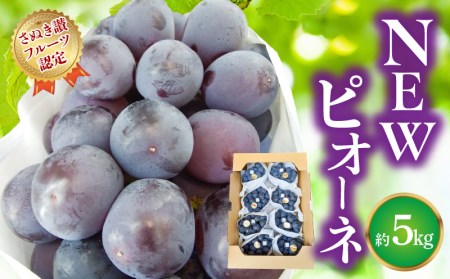【7月上旬から】【さぬき讃フルーツ】NEWピオーネ 約5kg