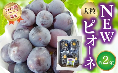 【8月1日から】【さぬき讃フルーツ】NEWピオーネぶどう 大粒約2kg