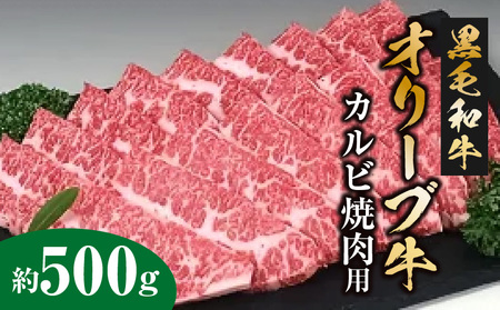 黒毛和牛オリーブ牛 カルビ焼肉用 約500g