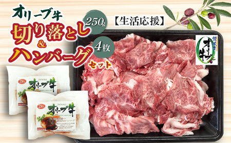 オリーブ牛切り落とし250g&ハンバーグ4枚セット