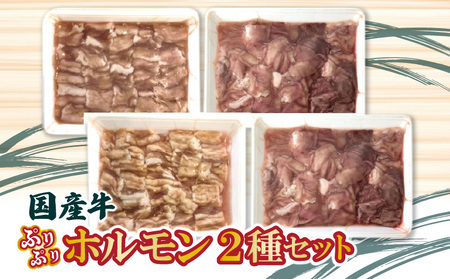 国産牛ぷりぷりホルモン二種セット