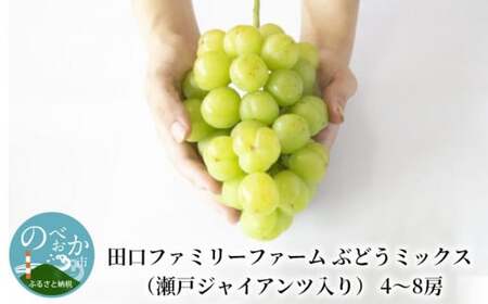 【田口ファミリーファーム】ぶどうミックス(瀬戸ジャイアンツ入り)4~8房(約3kg~4kg) N053-YZD0141